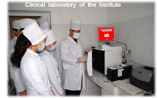 image12.png
